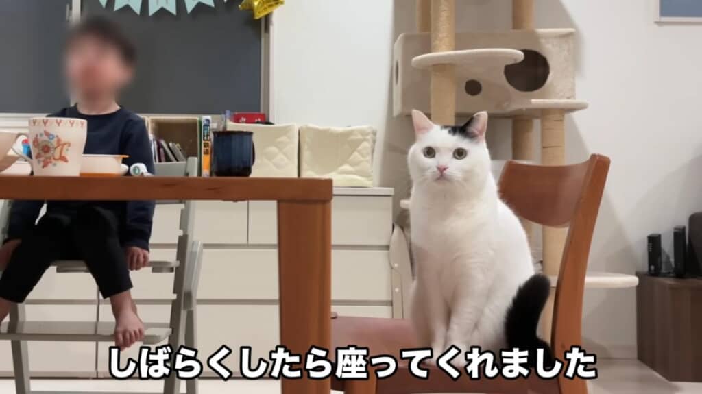 賢い！