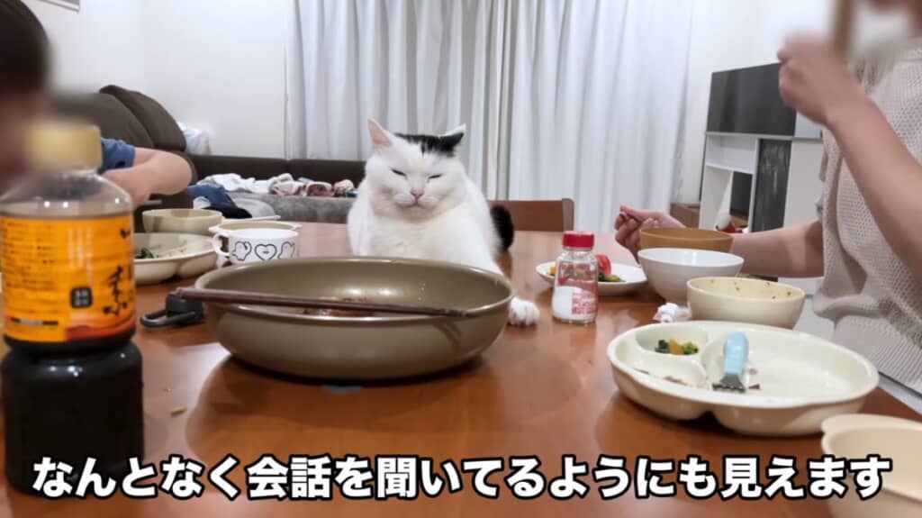 椅子にいたりテーブルにいたりと、自由に過ごしているたけるくん