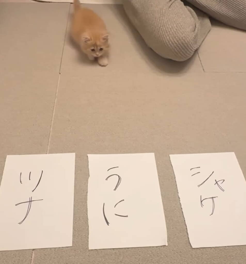 次の瞬間……