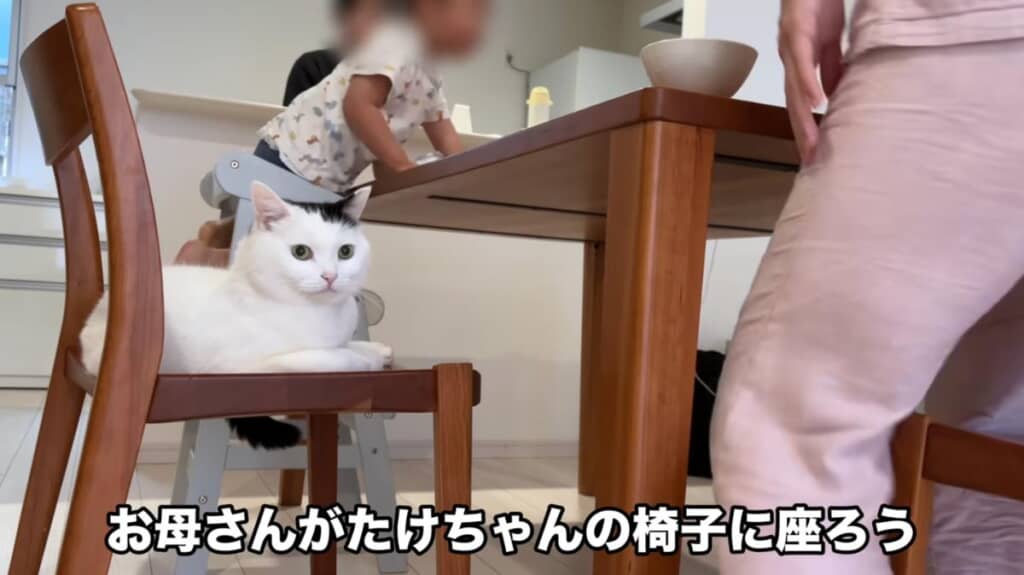 ママさんの椅子を使っちゃうプチトラブルも