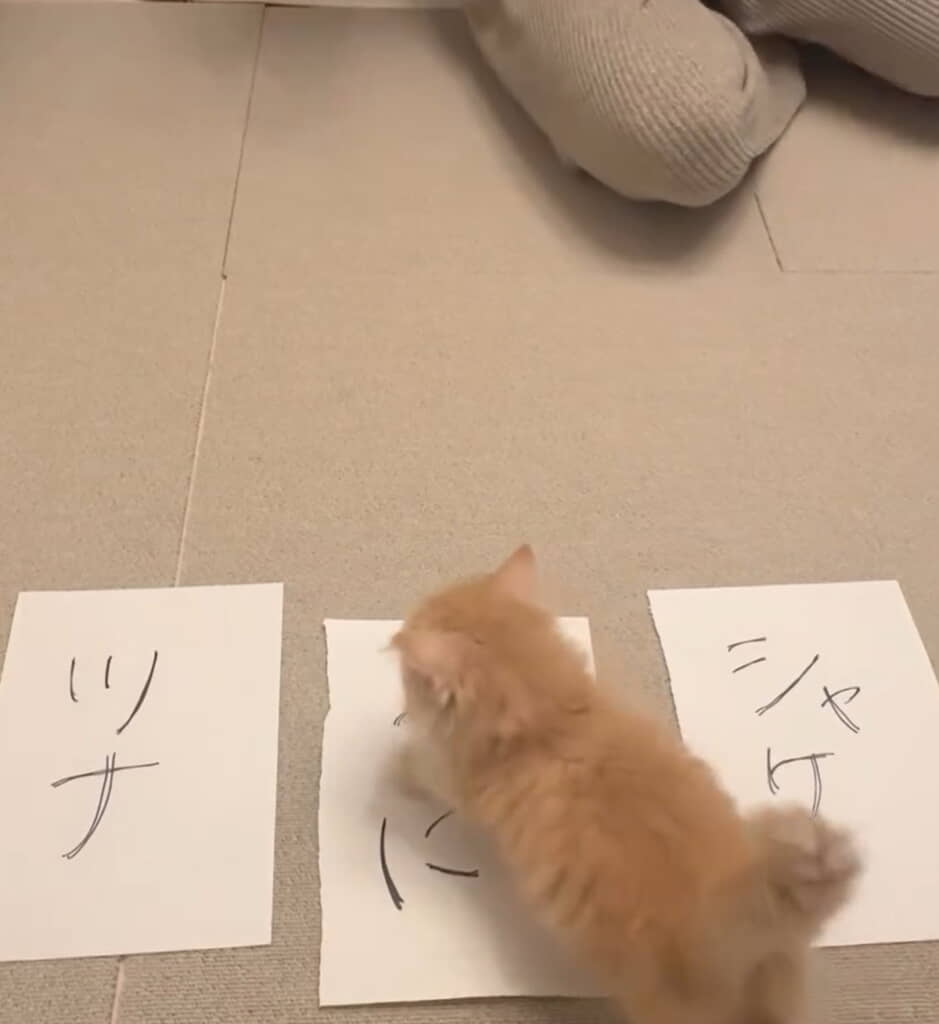 お気に入りの名前が見つかってよかったね◎