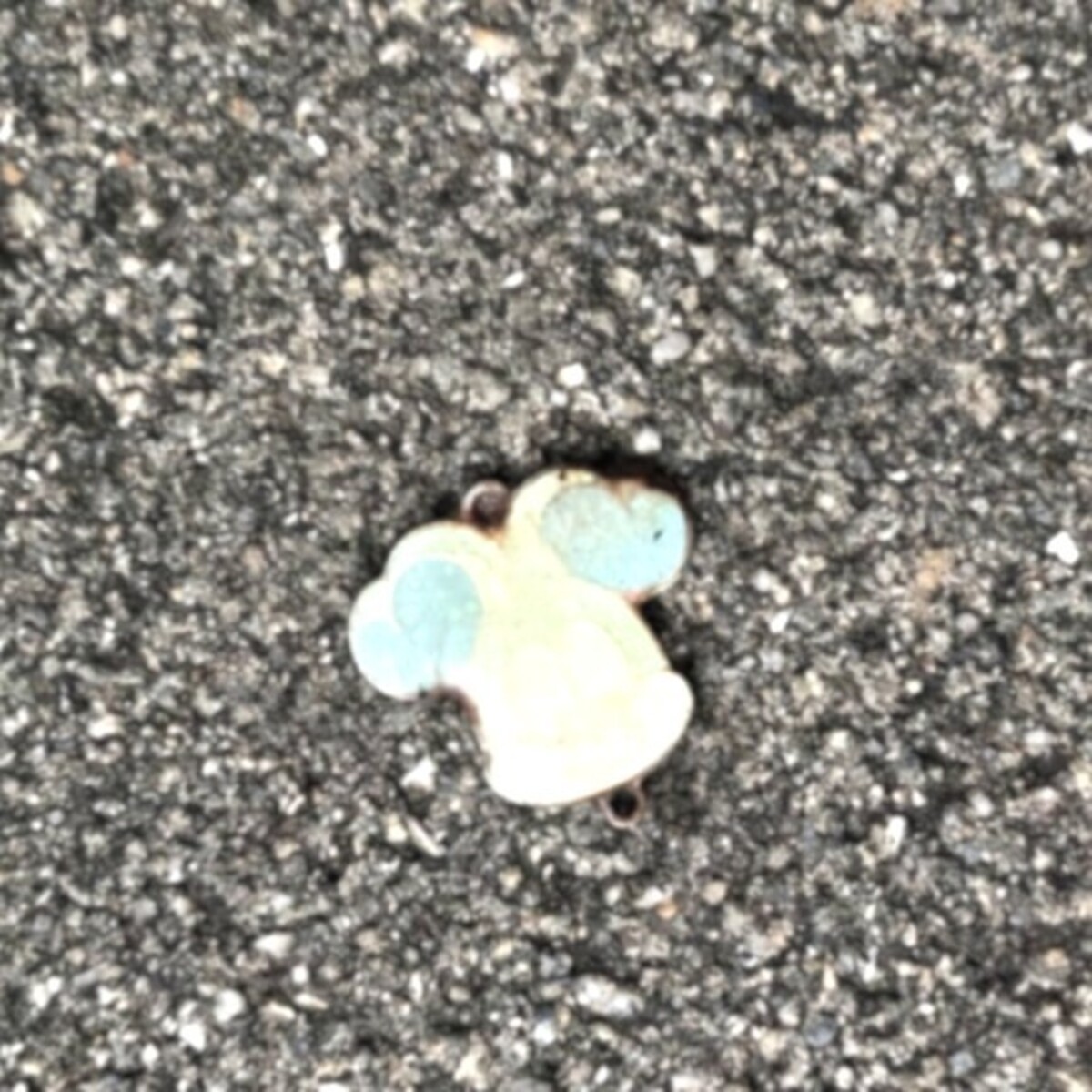 道端で「ミッキー」発見→そう思って近づくと……　「うわぁぁあああ!!!」まさかの正体に「見逃すとこやったわ」「多分、、あいつだよね？」（1/2） | ライフスタイル ねとらぼ