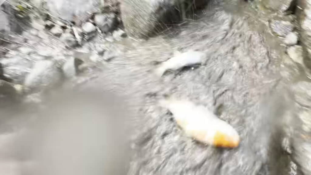 最後のほうになるとどんどん出てくる
