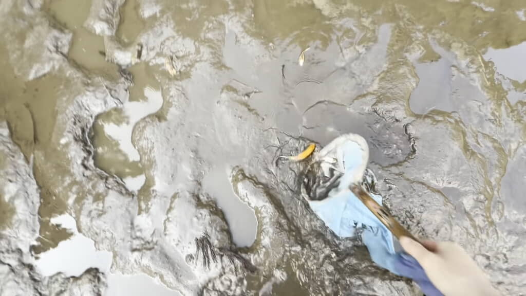 空になった池に残った錦鯉をタモで回収
