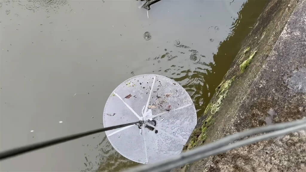 小さなモツゴが獲れました