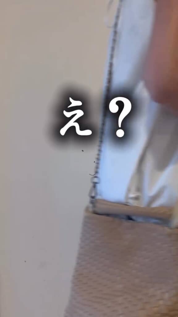何かを発見したかほさん