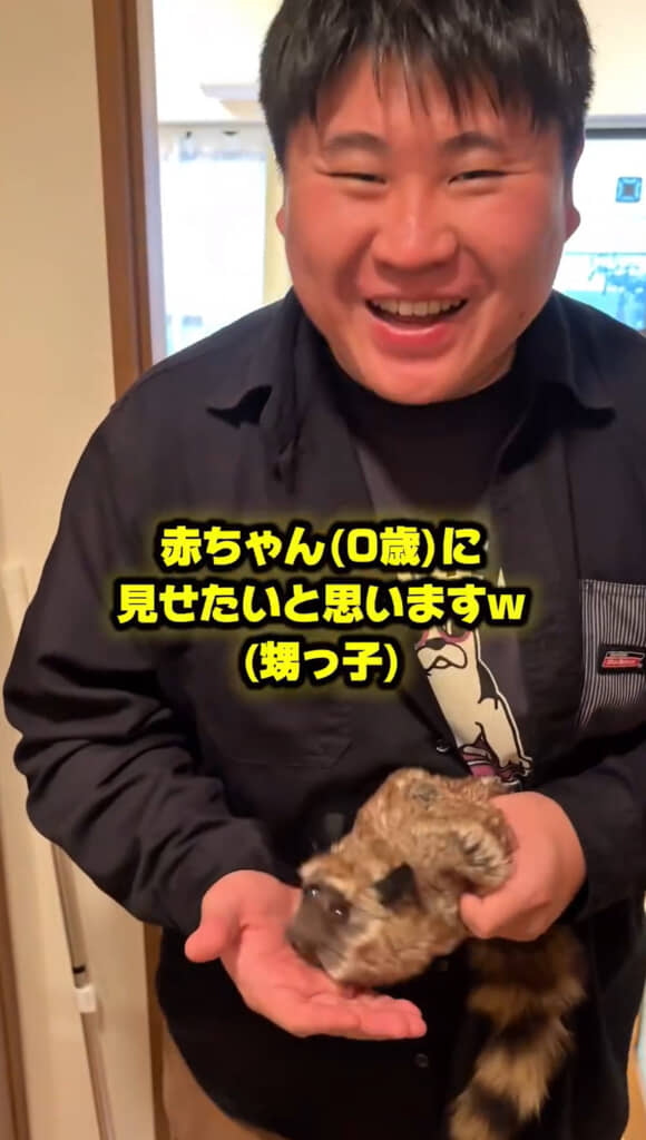 赤ちゃんにぬいぐるみ芸を披露します
