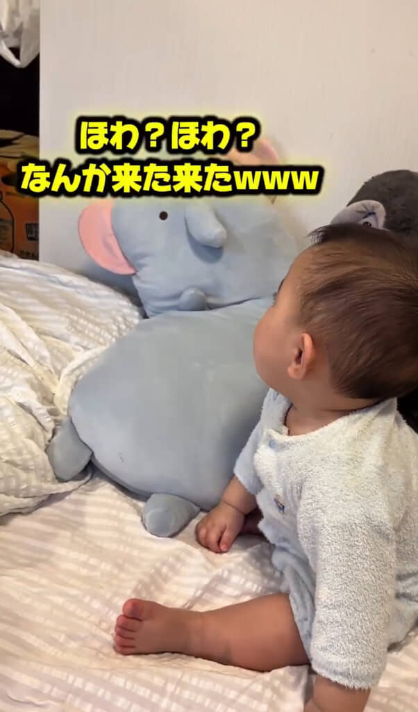 さっそく興味津々