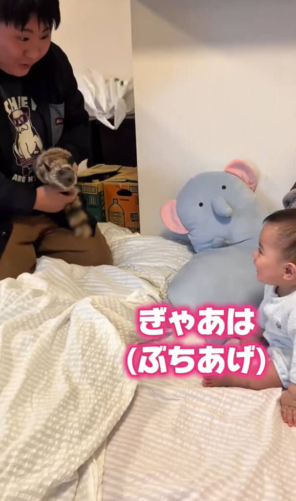 動くぬいぐるみに大爆笑です