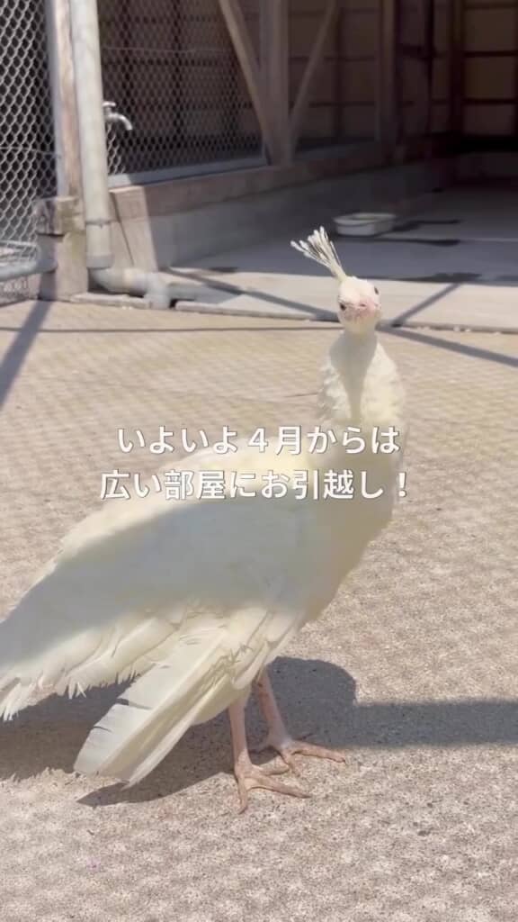 約1年でここまで……！