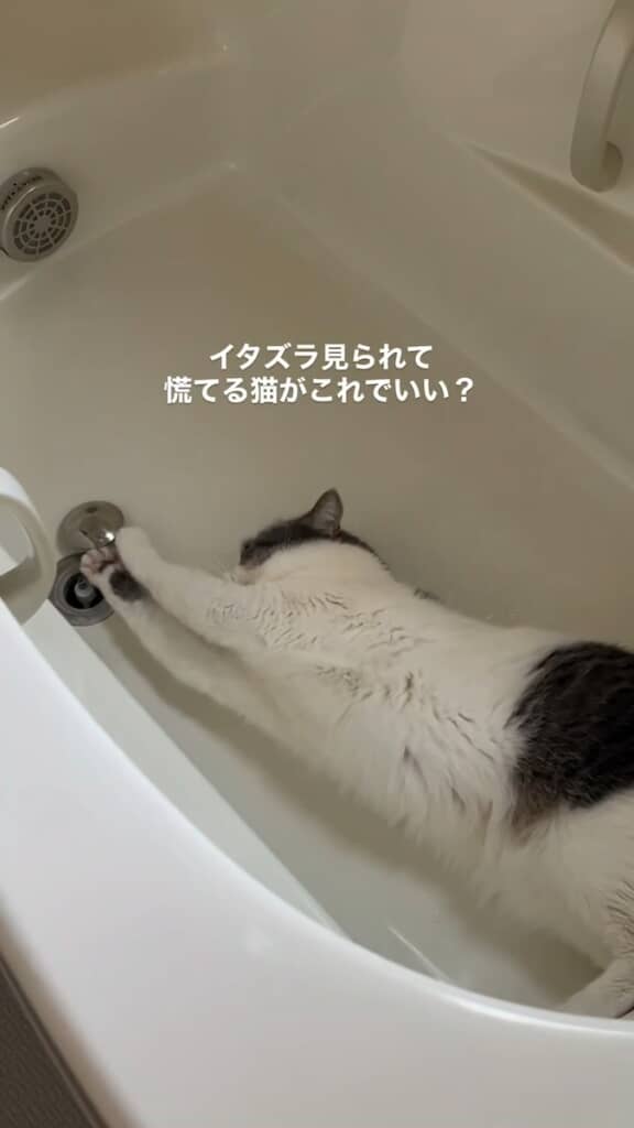 排水口のフタでひとり遊び