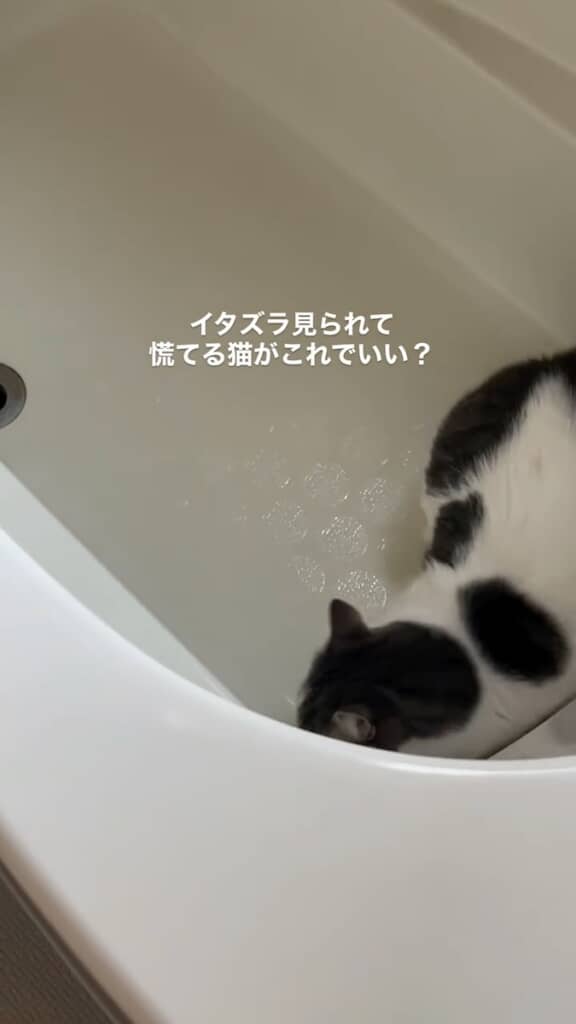 バスタブの端に身を潜めるうるくん