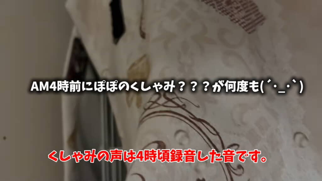 ぽぽちゃんの鳥かごへ向かう