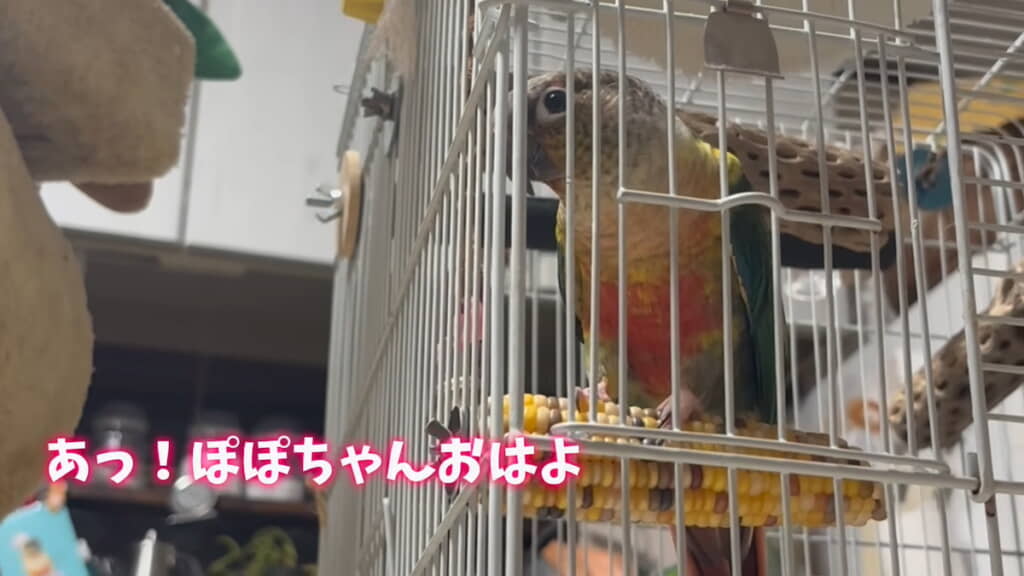 次女から朝のあいさつをされると……