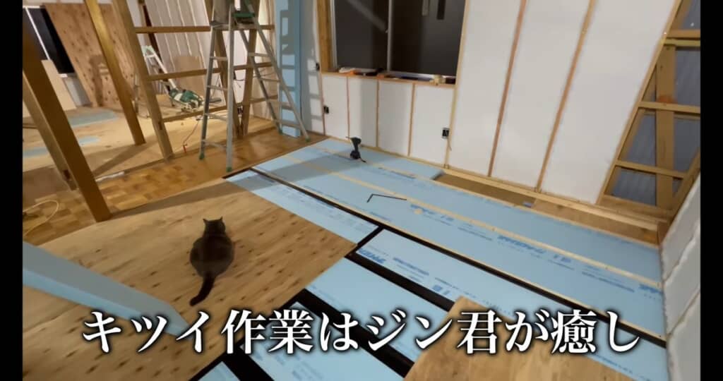 床作りの作業を見守るネコ