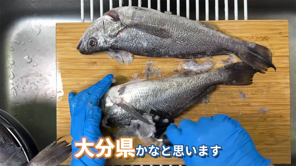 大分県では「カマガリ」と呼ばれているのだとか