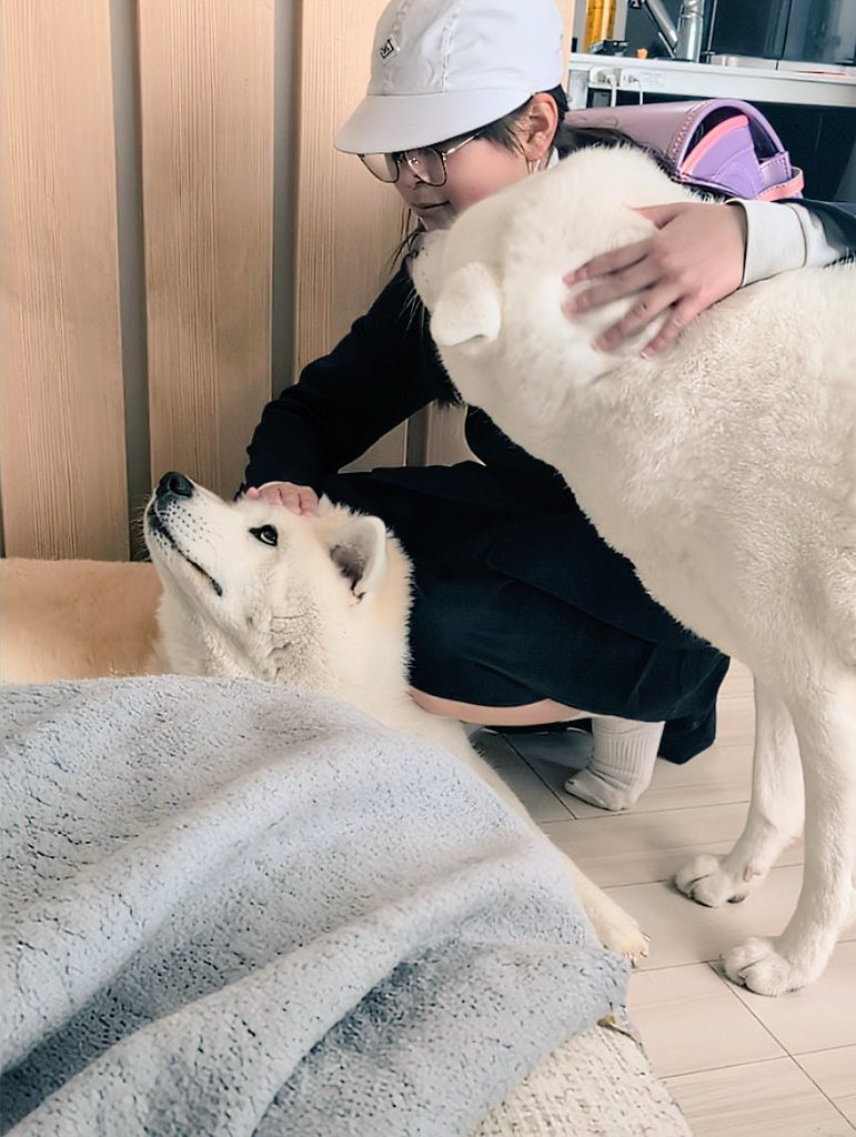帰宅してすぐに愛犬たちを撫でて癒やしをもらう小学生時代の次女