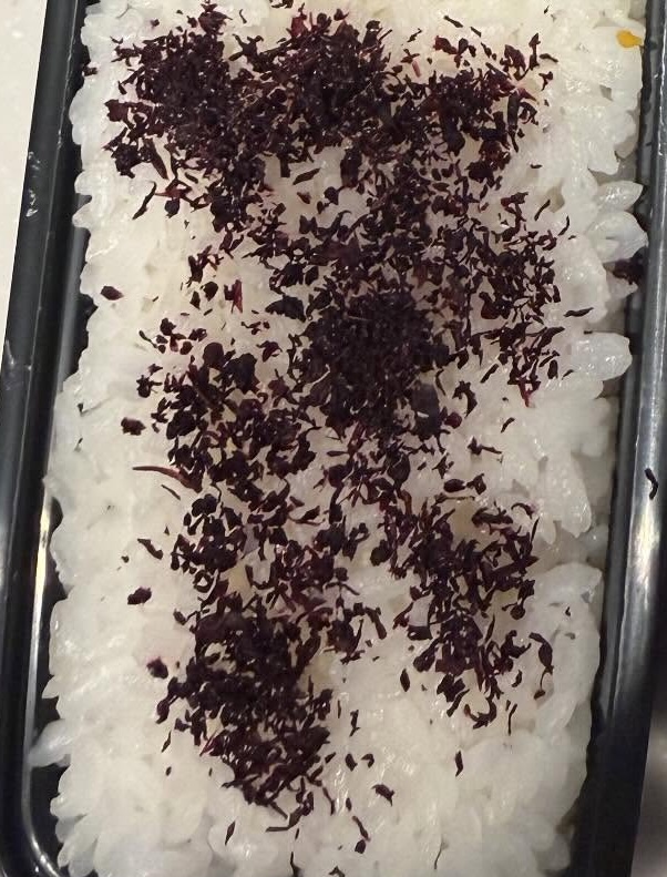 ママが高校生の息子のために作ったお弁当は……