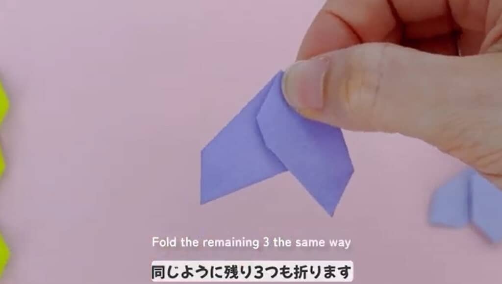 つぼみができました