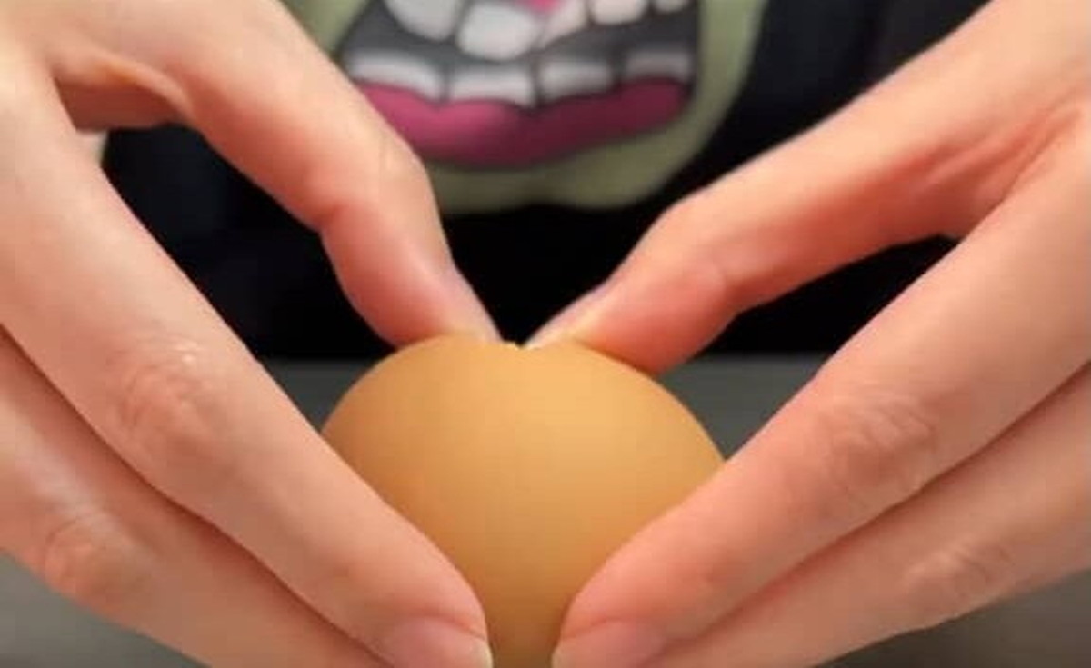 普通の卵を割ったら……　鳥肌モノの中身が209万再生「食べれんやん」「TRICKのオープニングみたい」（1/3） | ライフスタイル ねとらぼ