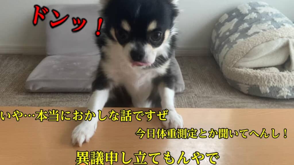 抜き打ちの体重測定にご立腹
