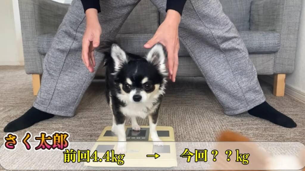 0.1キログラム減っている!?
