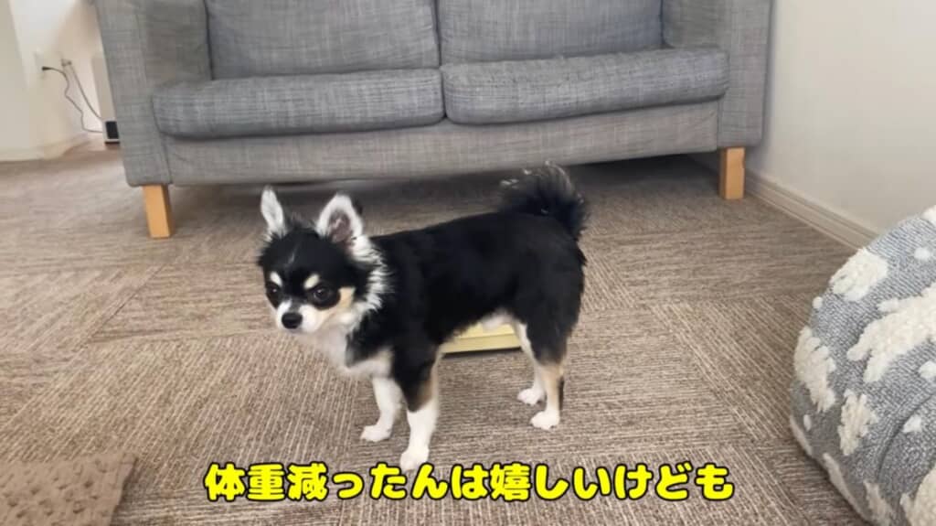 最後はちょっぴり複雑な気持ちに