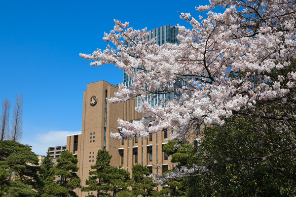 出典：東北大学HP