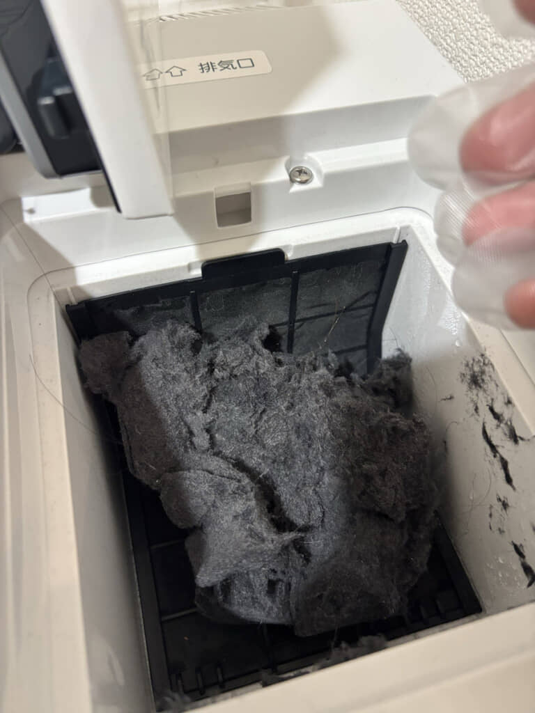 どえらいサイズのホコリの塊。これ、ひょっとすると氷山の一角で、見えない部分はもっと大変なことになっているのでは……