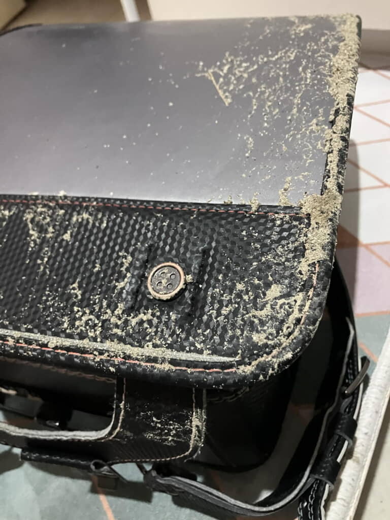 転がった姿が目に浮かぶよう……