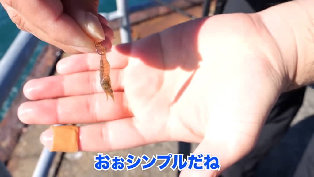 釣り針にもスジエビを付ける
