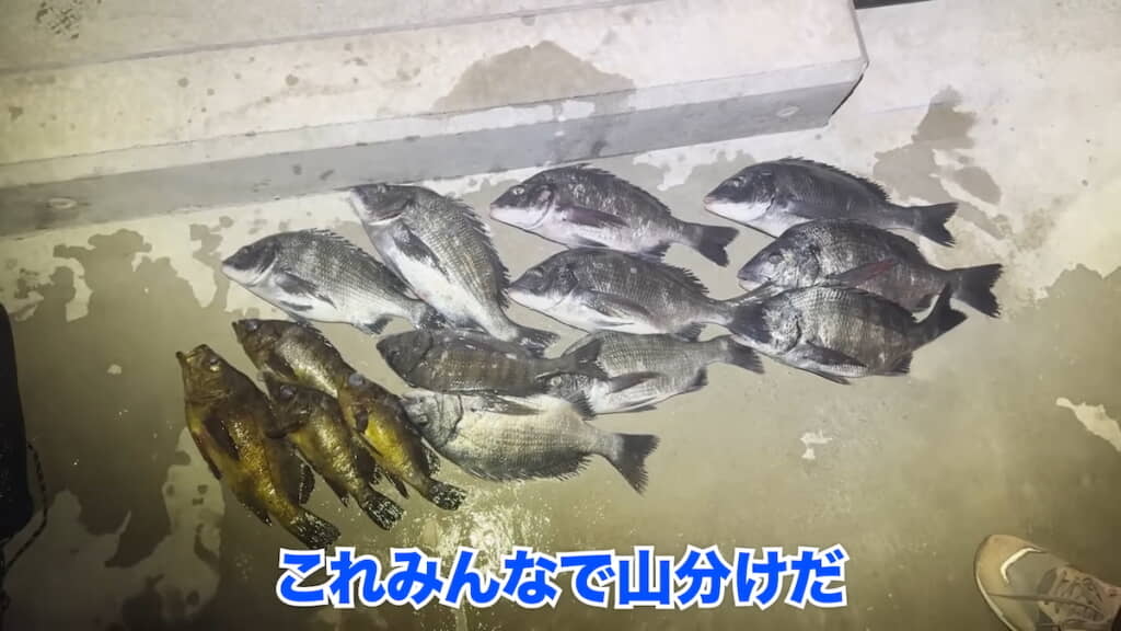 すばらしい釣果に