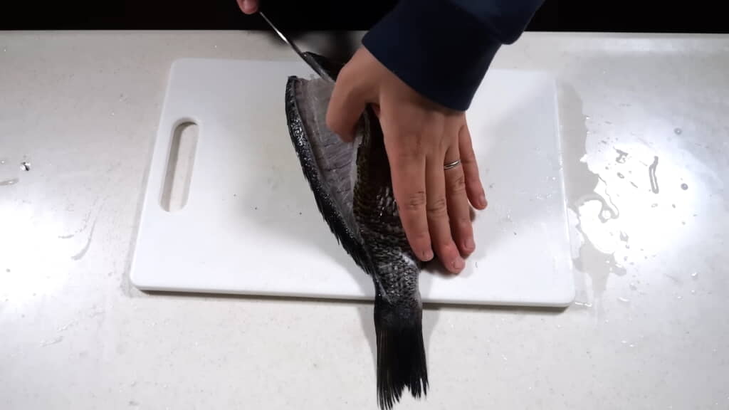 クロダイをさばくホモサピさん