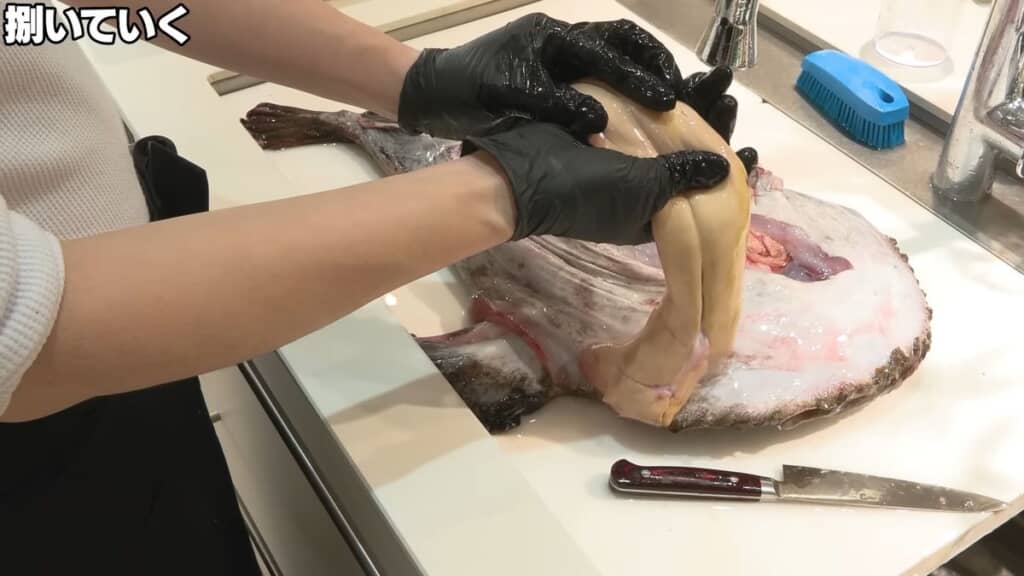 アンコウから摘出したアンキモ