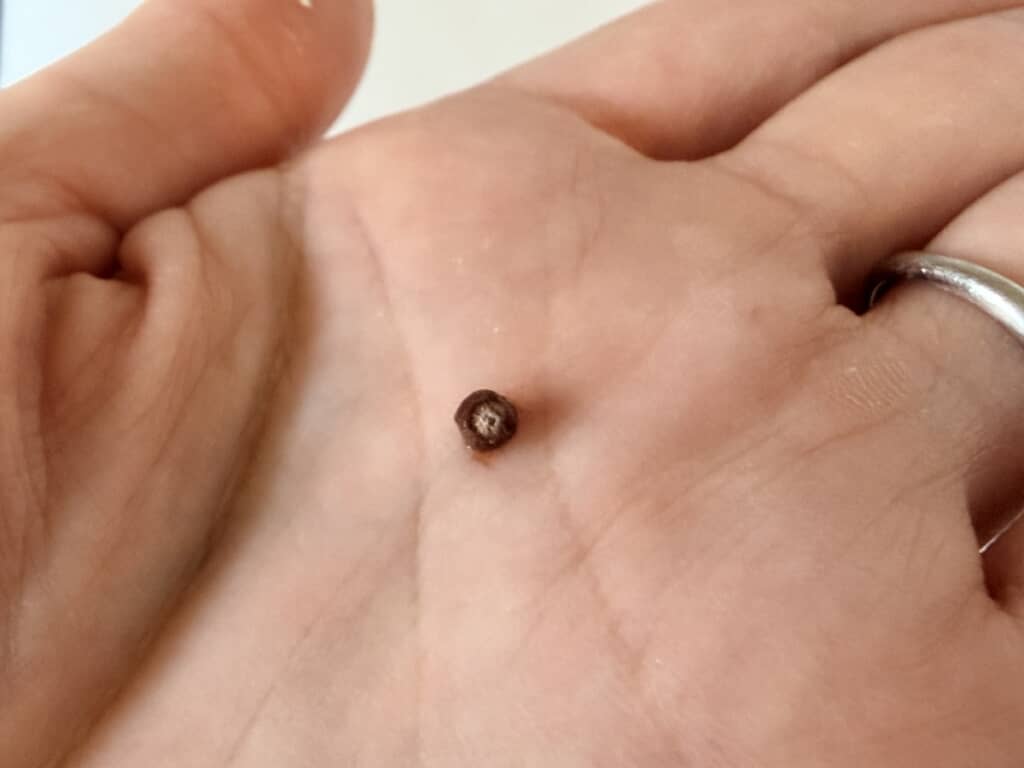 「雪見だいふく チョコサクサク」