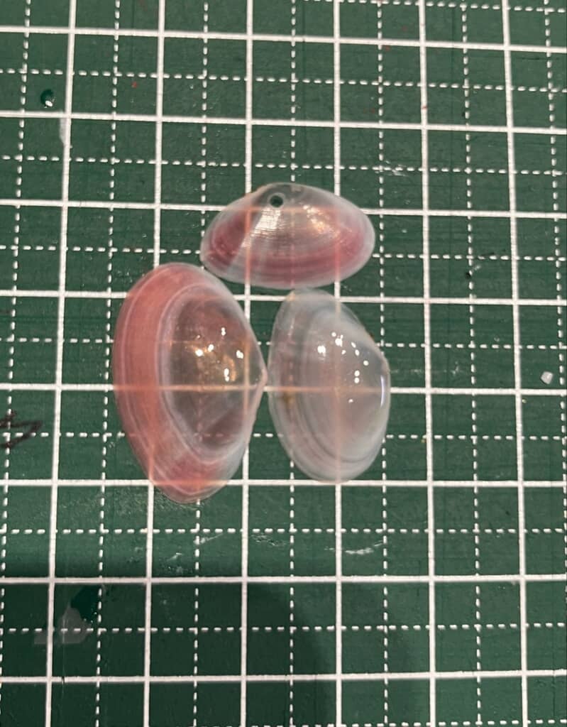 レジンでコーティングした貝殻