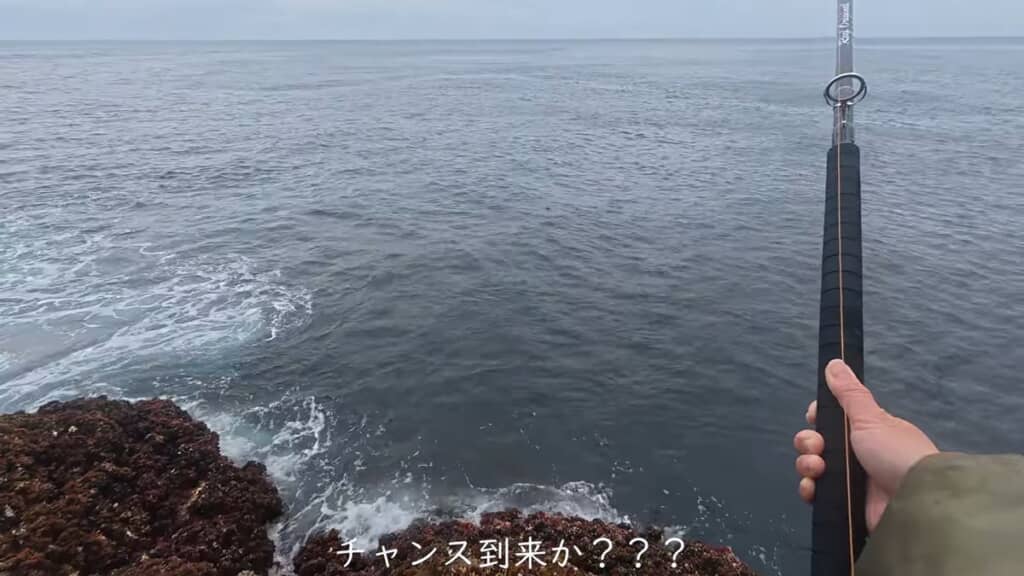 海中の様子にチャンスが来たのではないかと考える投稿者