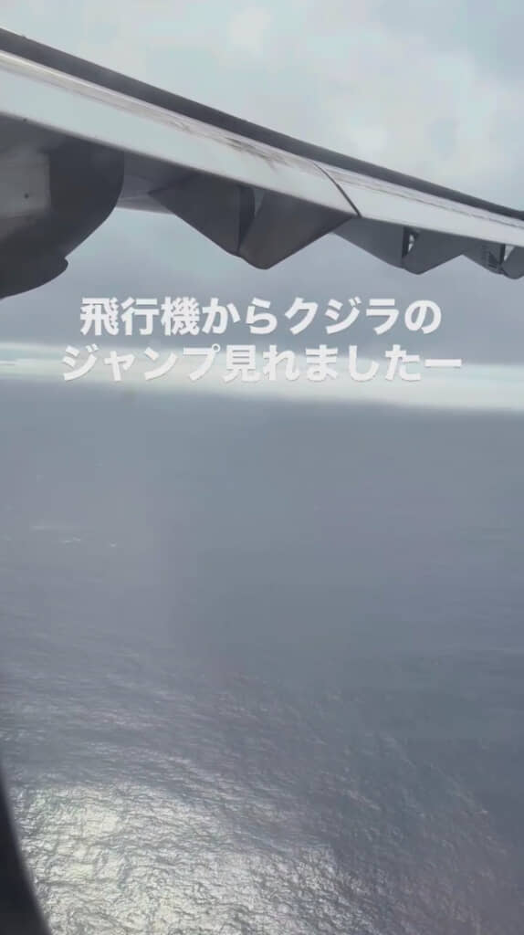 飛行機から眺める広大な海