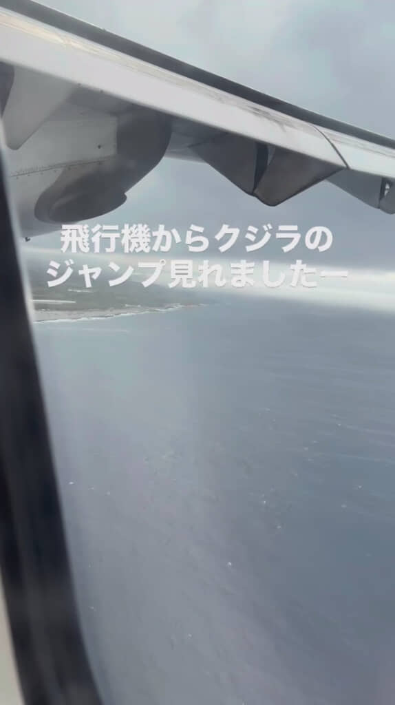 向かう先が見えてきた