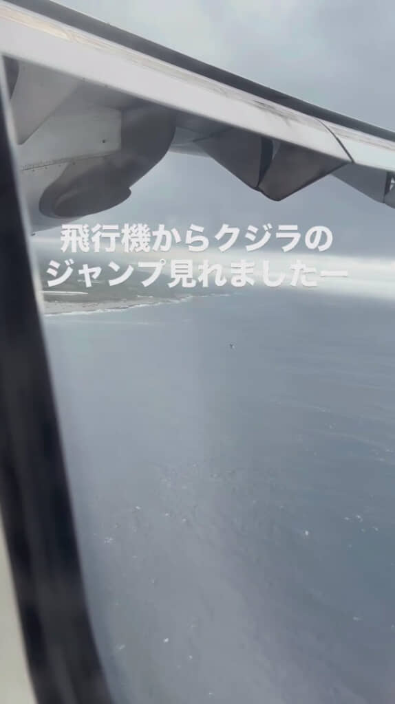 突如現れた大きなしっぽ！