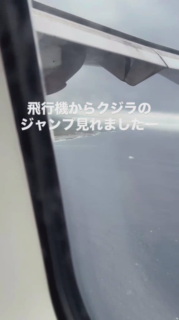 白波がジャンプの大きさを物語る