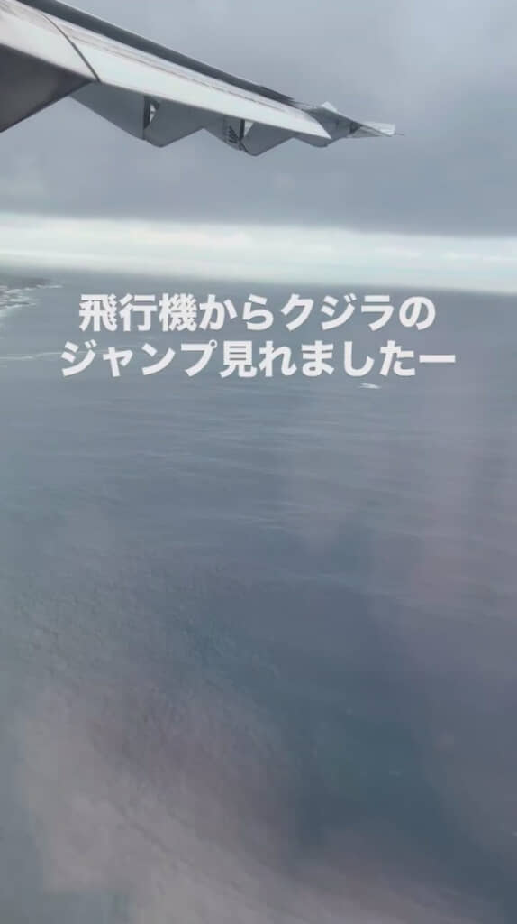 思わず「お！」と驚きの声