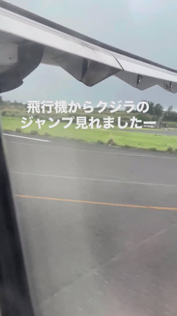 豊かな自然を感じられる出来事