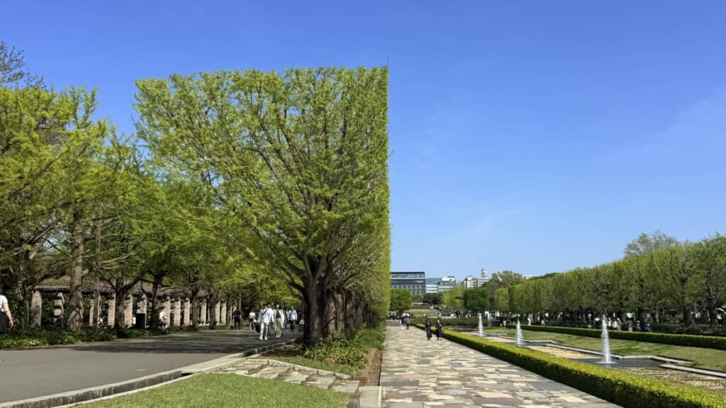 マイクラみたいに剪定された木