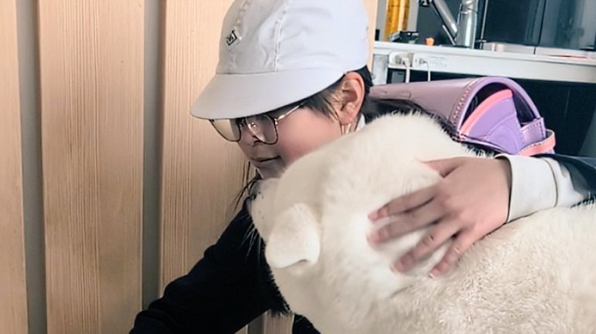 小学校で疲れた次女を癒やす“秋田犬たち”→数年後……　“現在の姿”に「頼もしくてほほ笑ましい」「愛があふれる毎日」（1/2） | 犬 ねとらぼ