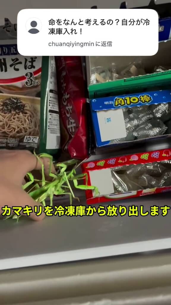 冷凍室のカマキリをまとめて引きずり出す投稿者