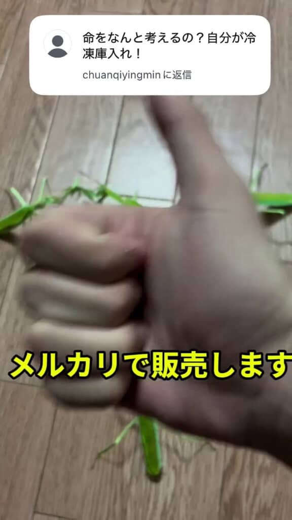 クラフトアートのカマキリを販売している投稿者