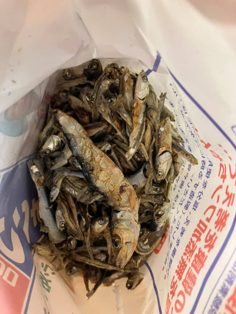 ひときわ大きなサイズのニボシ
