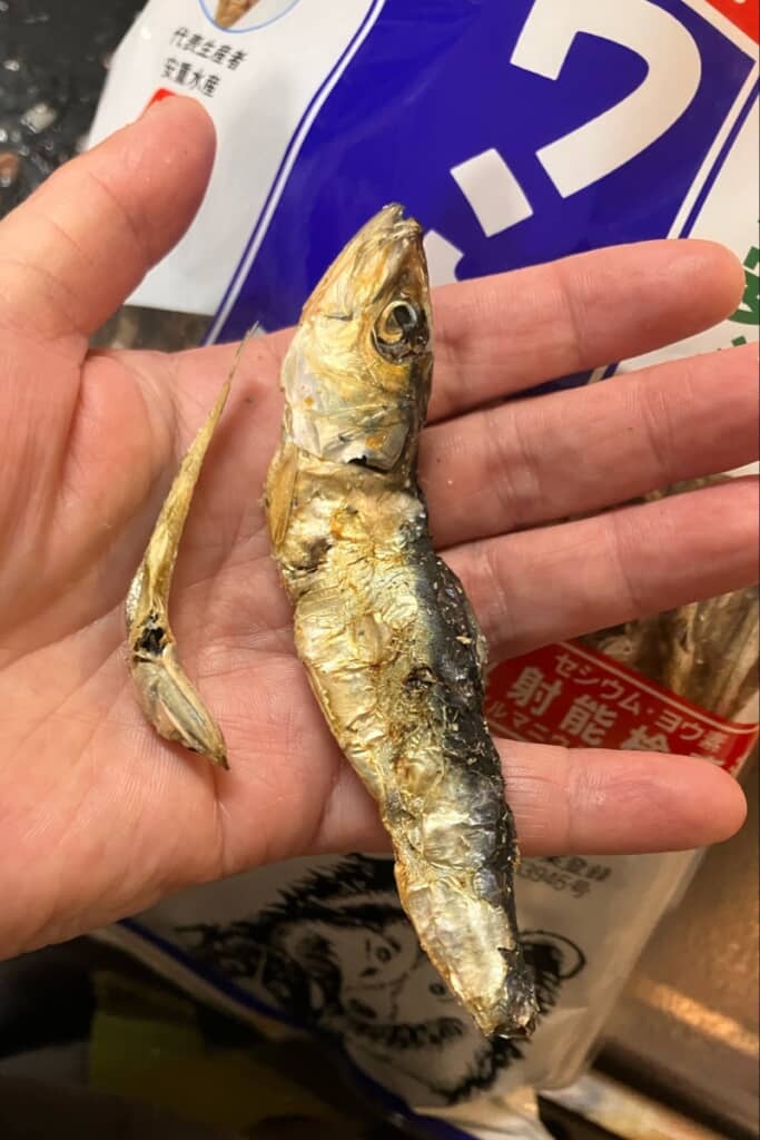 通常サイズの10倍はあろうというニボシ