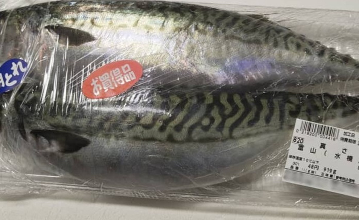 異様に腹がふくれたサバ→鳥肌が立つ“中身”が24万表示「自然は残酷」「どうすんの!?」(1/3) | ライフスタイル ねとらぼ
